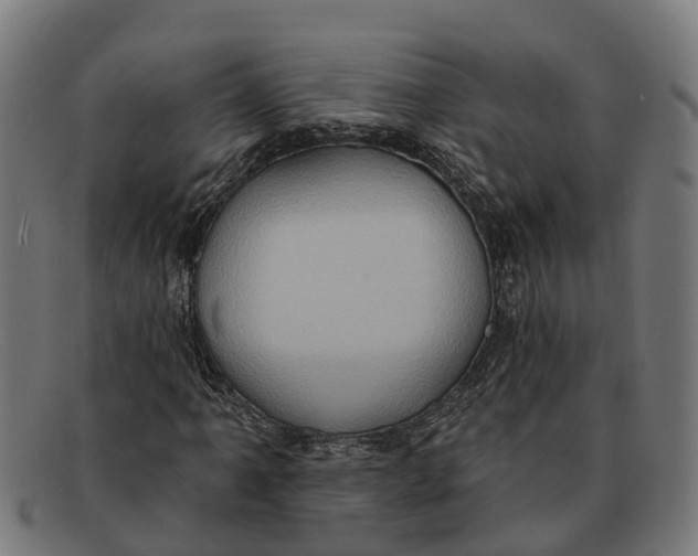 X0000091641061200709131427