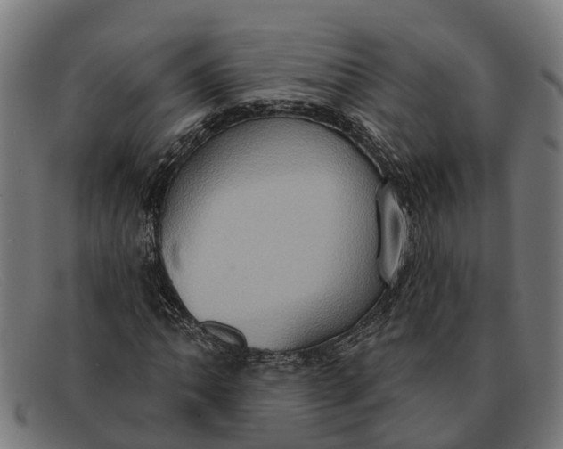 X0000091641062200709131427