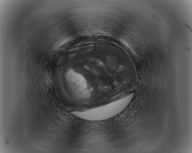 X0000091641063200709131427