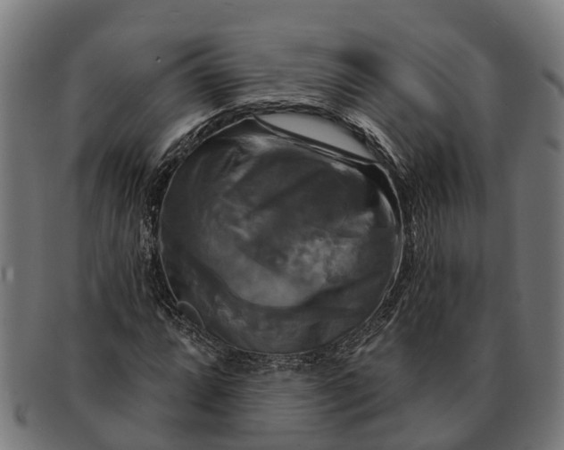 X0000091641064200709131427