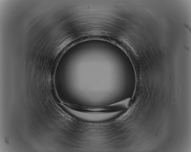 X0000091641065200709131427
