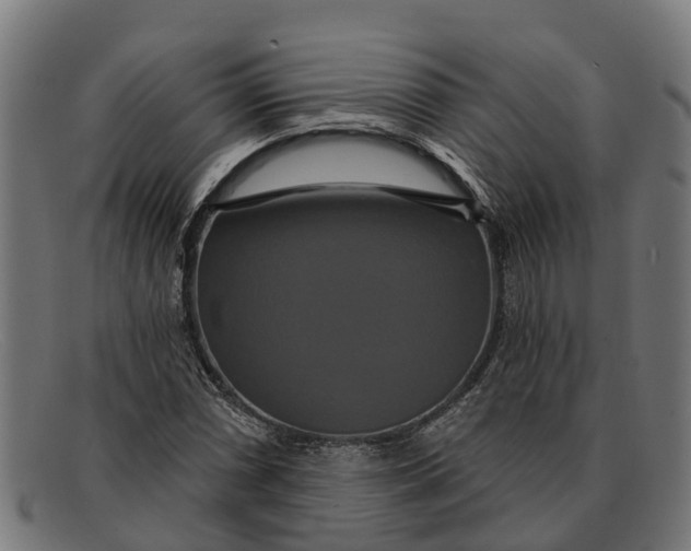 X0000091641066200709131427