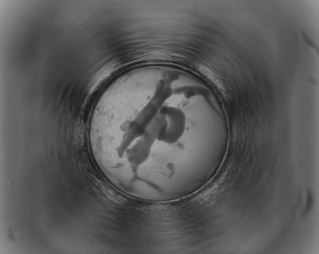 X0000091641067200709131427