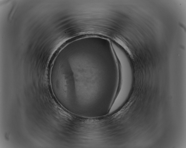 X0000091641068200709131427