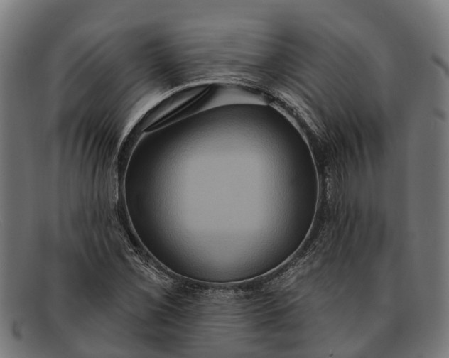 X0000091641069200709131427
