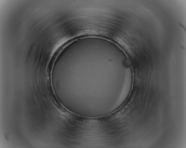 X0000091641070200709131427
