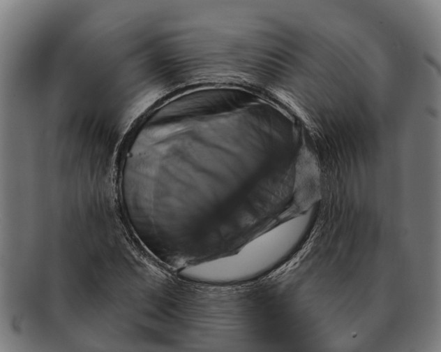 X0000091641071200709131427