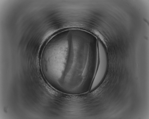 X0000091641072200709131427