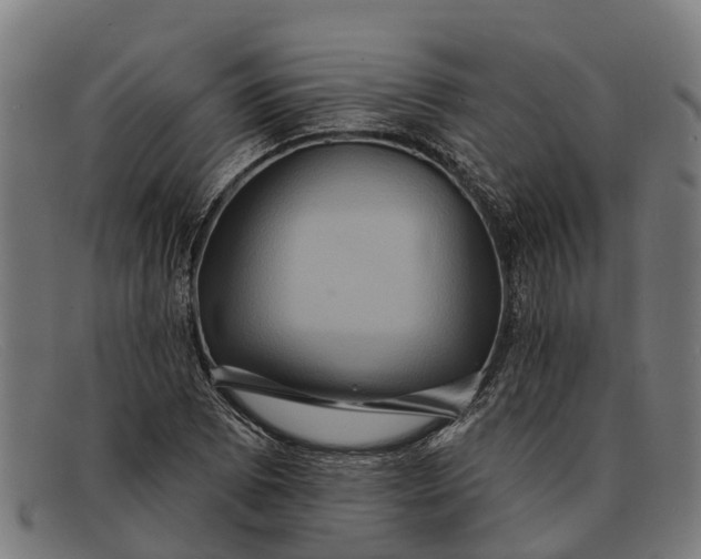 X0000091641073200709131427