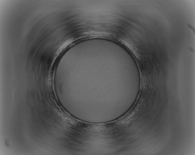 X0000091641074200709131427