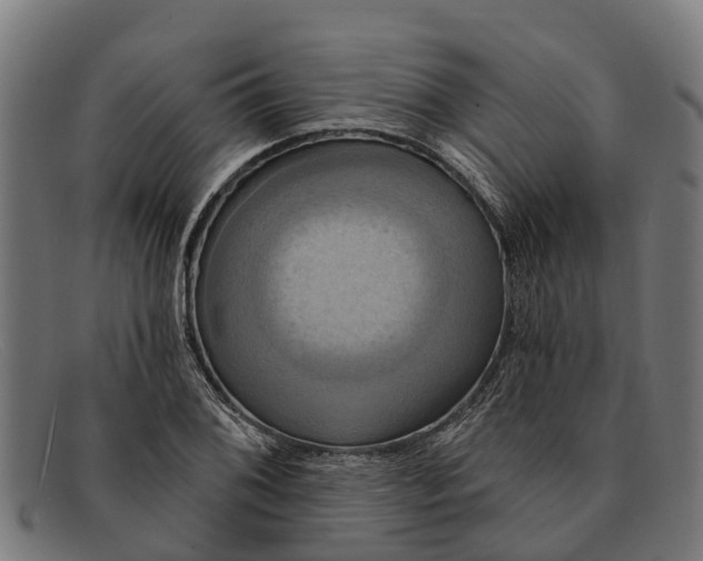 X0000091641076200709131427