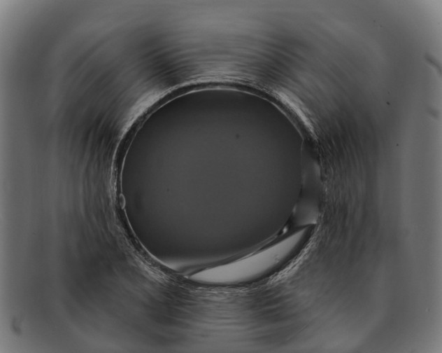 X0000091641077200709131427