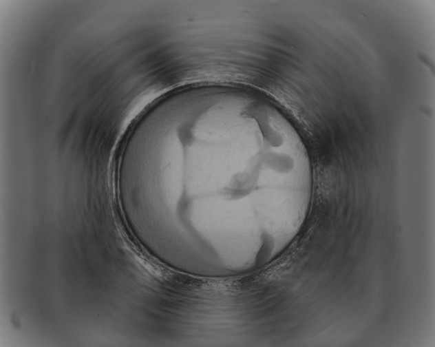 X0000091641078200709131427
