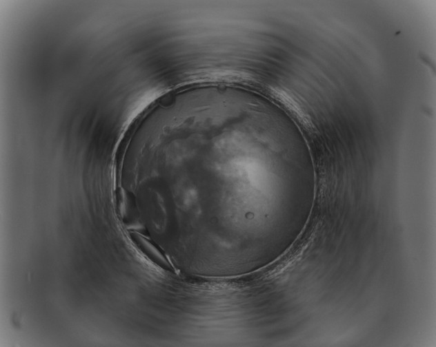 X0000091641079200709131427