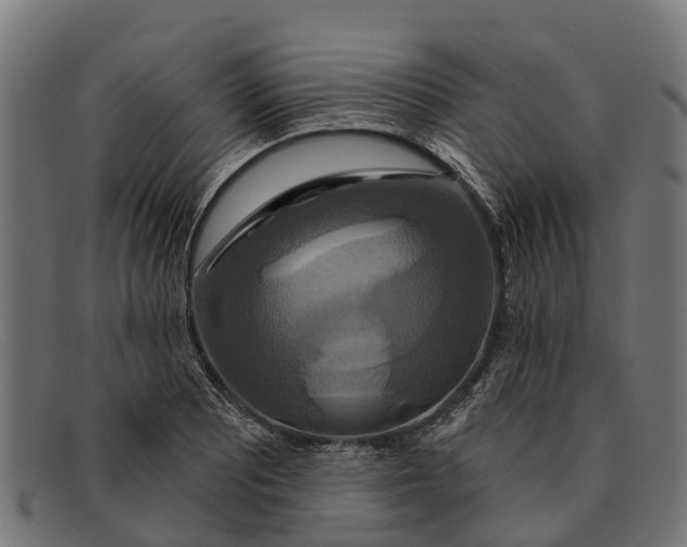 X0000091641081200709131426