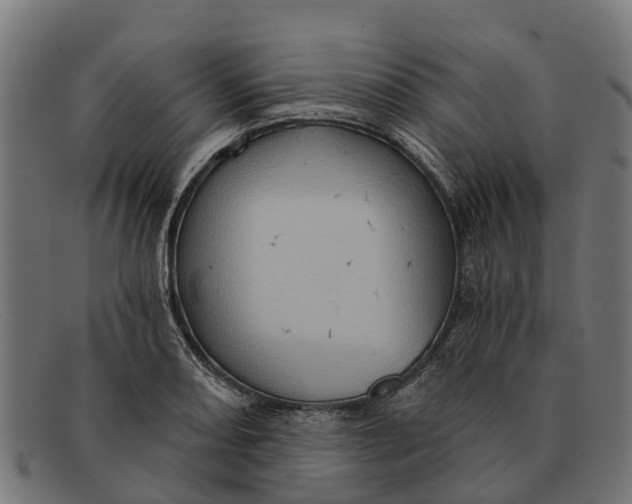 X0000091641082200709131426