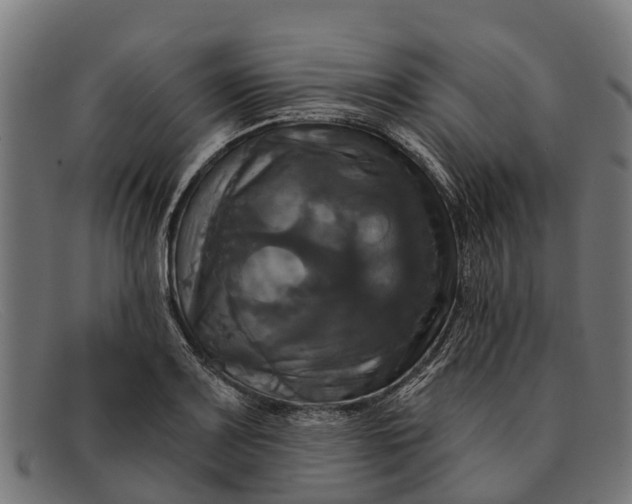 X0000091641083200709131426