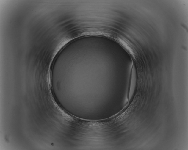 X0000091641084200709131426
