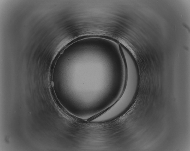 X0000091641085200709131426