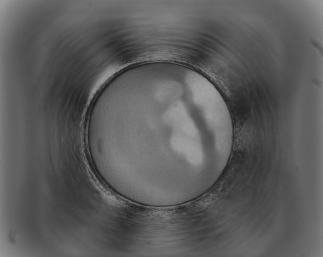 X0000091641086200709131426