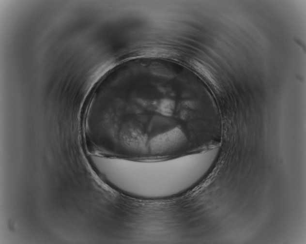 X0000091641087200709131426