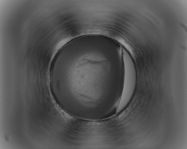 X0000091641088200709131426