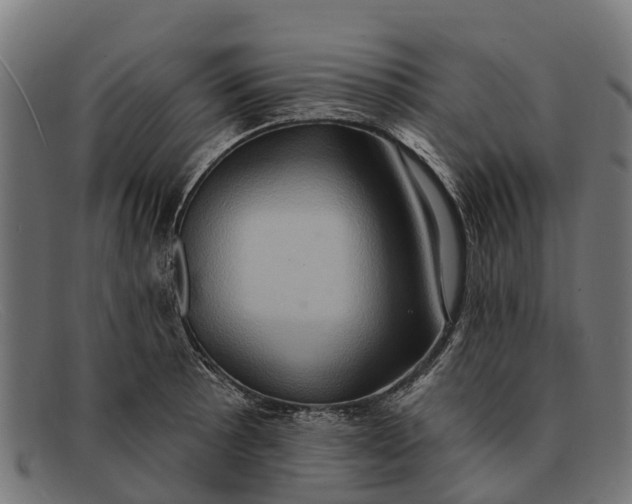 X0000091641089200709131426