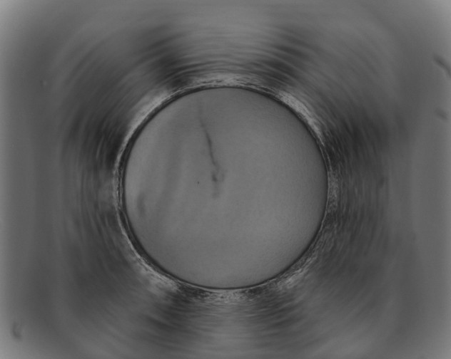 X0000091641090200709131426