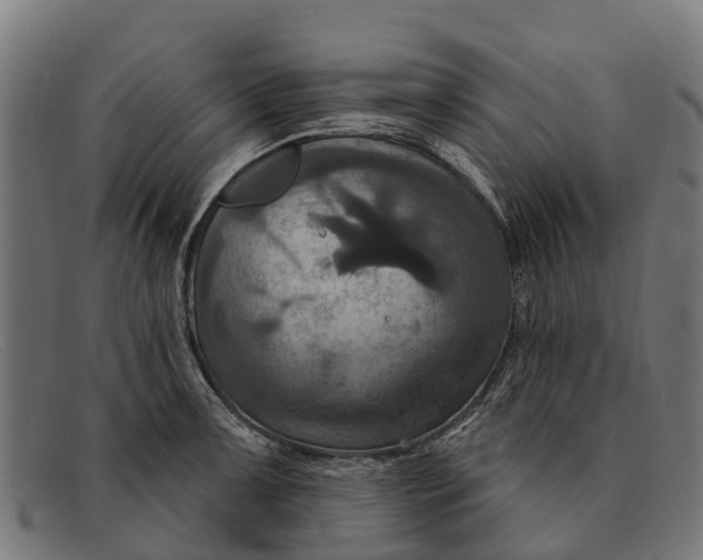 X0000091641091200709131426