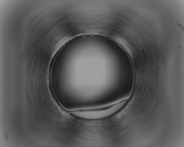 X0000091641093200709131426