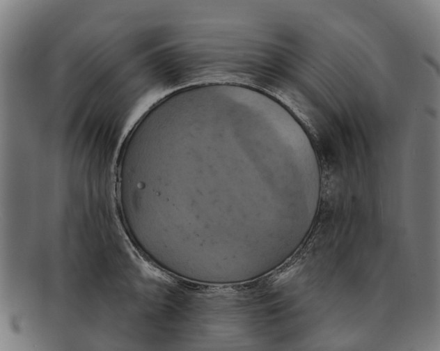 X0000091641094200709131426