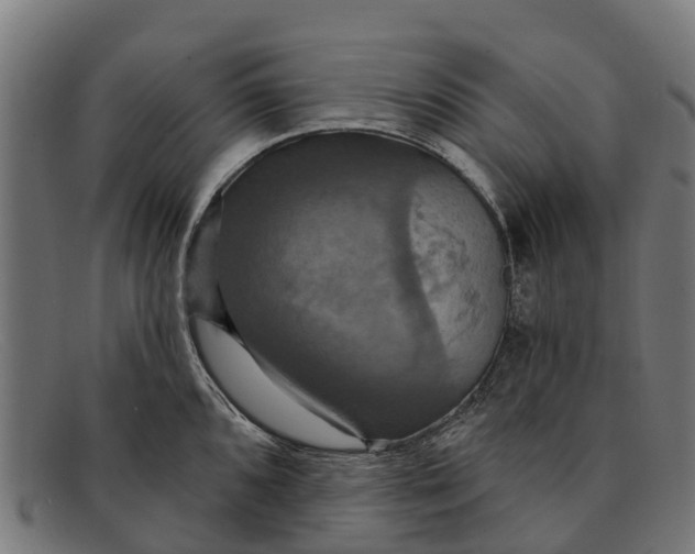 X0000091641096200709131426