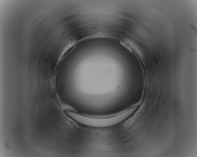 X0000091641097200709131426