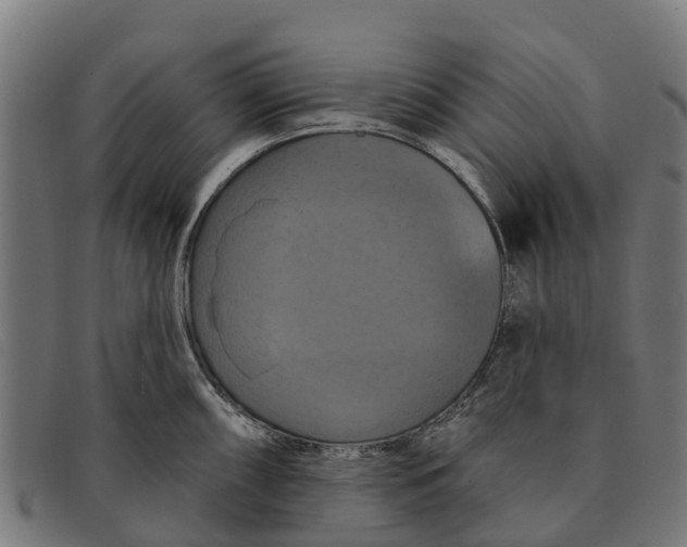 X0000091641098200709131426