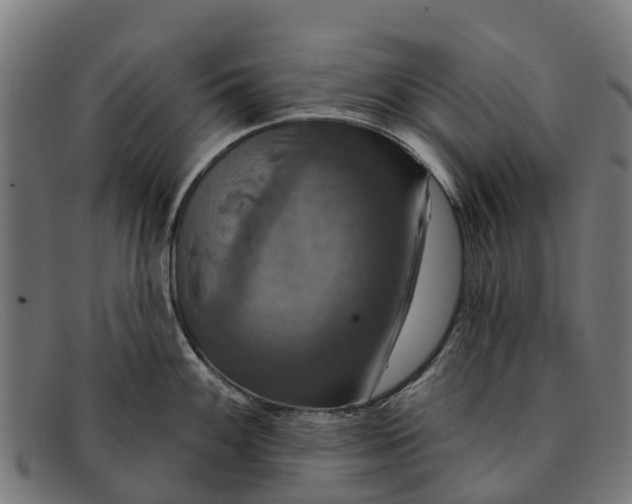 X0000091641100200709131426