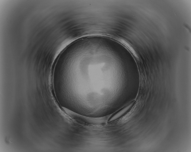X0000091641101200709131426