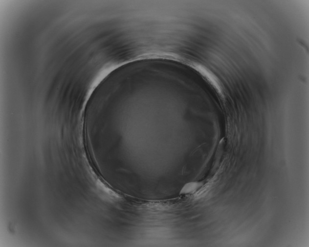 X0000091641102200709131426