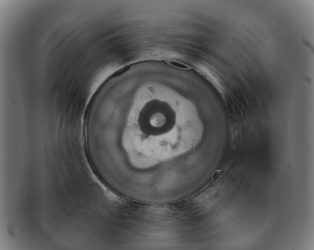 X0000091641103200709131426