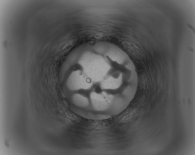X0000091641105200709131426