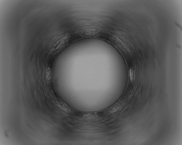 X0000091641107200709131426