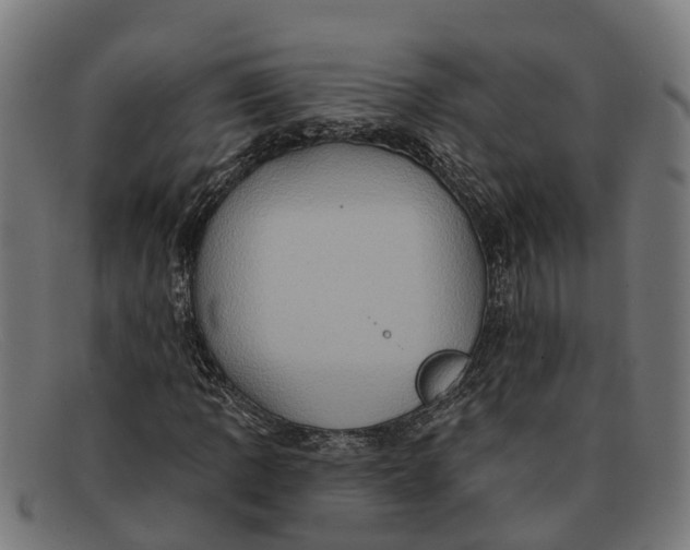X0000091641109200709131426