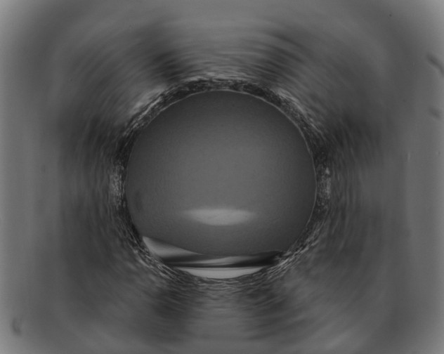 X0000091641110200709131426