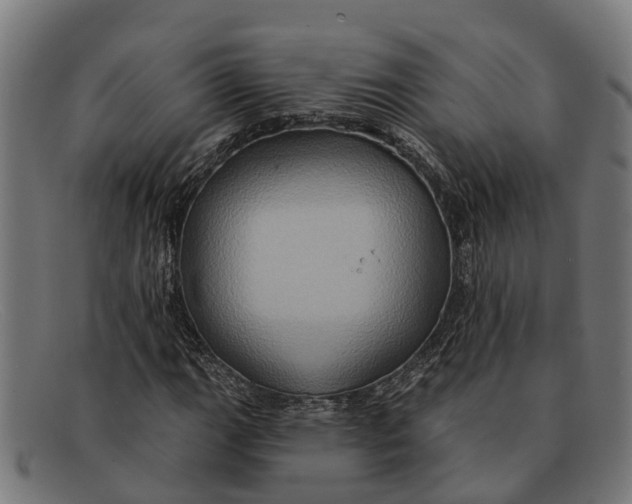X0000091641111200709131426