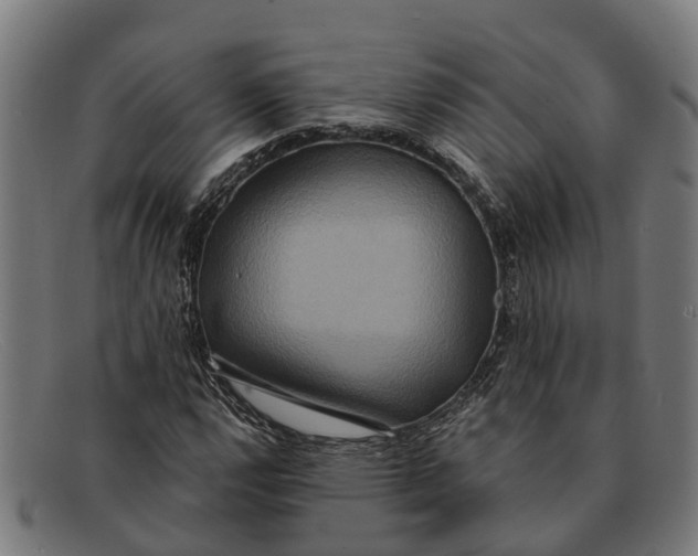 X0000091641112200709131426