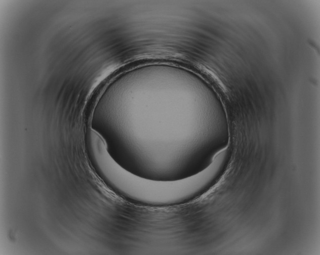 X0000091641114200709131426