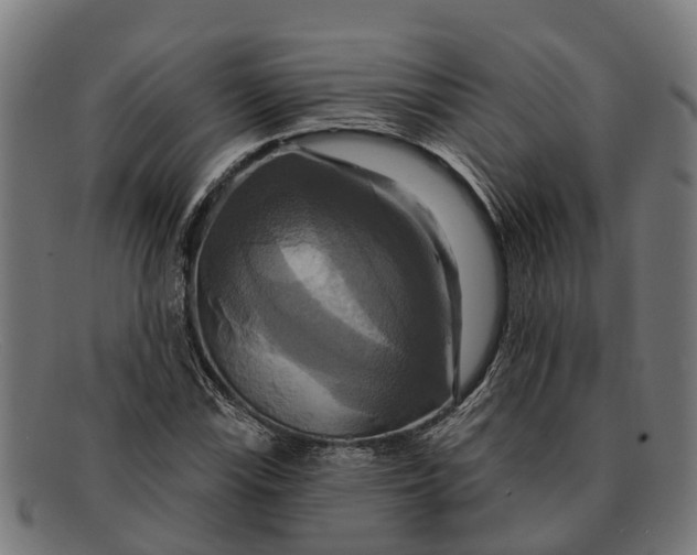 X0000091641115200709131426