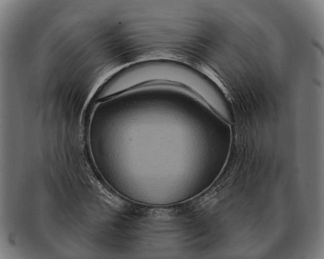 X0000091641116200709131426