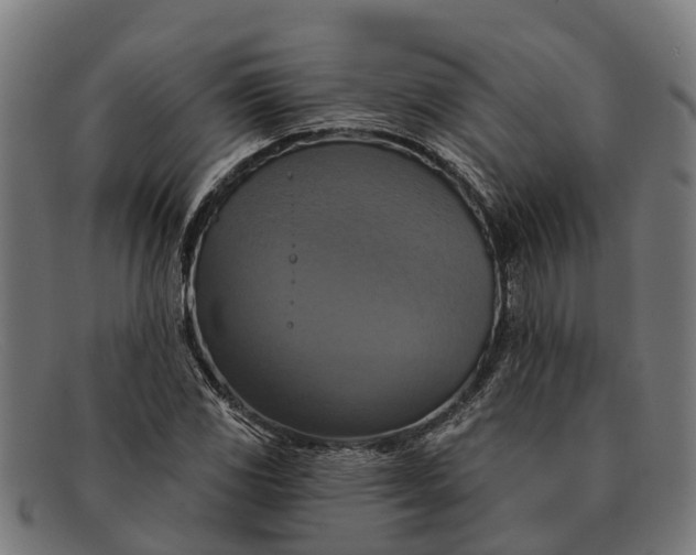 X0000091641117200709131426