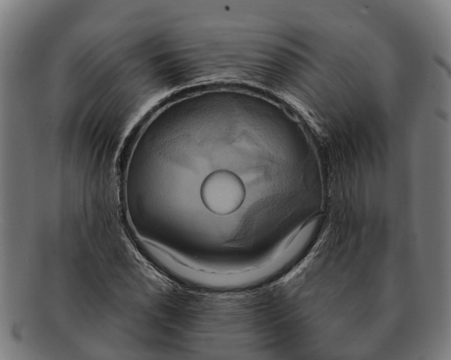 X0000091641118200709131426
