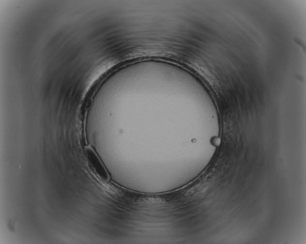 X0000091641119200709131426